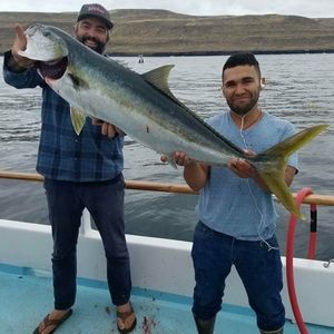 Meet your Posher, Jose